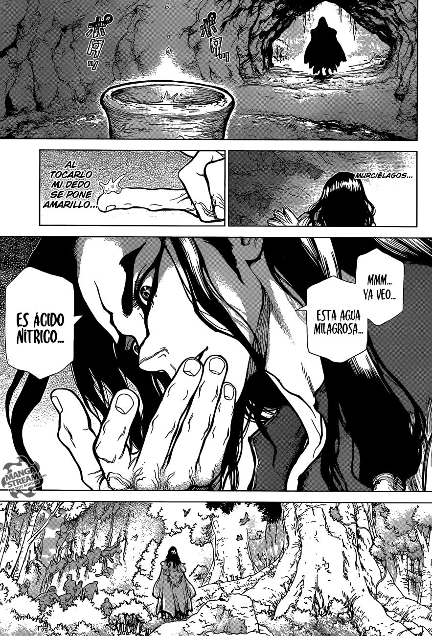 Read Dr Stone ES Manga Online