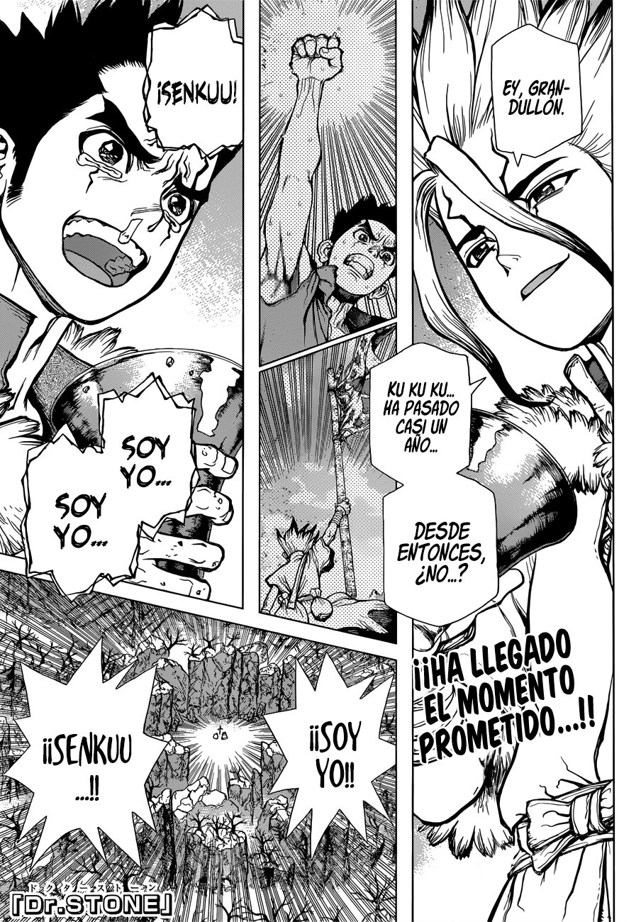 Read Dr Stone ES Manga Online