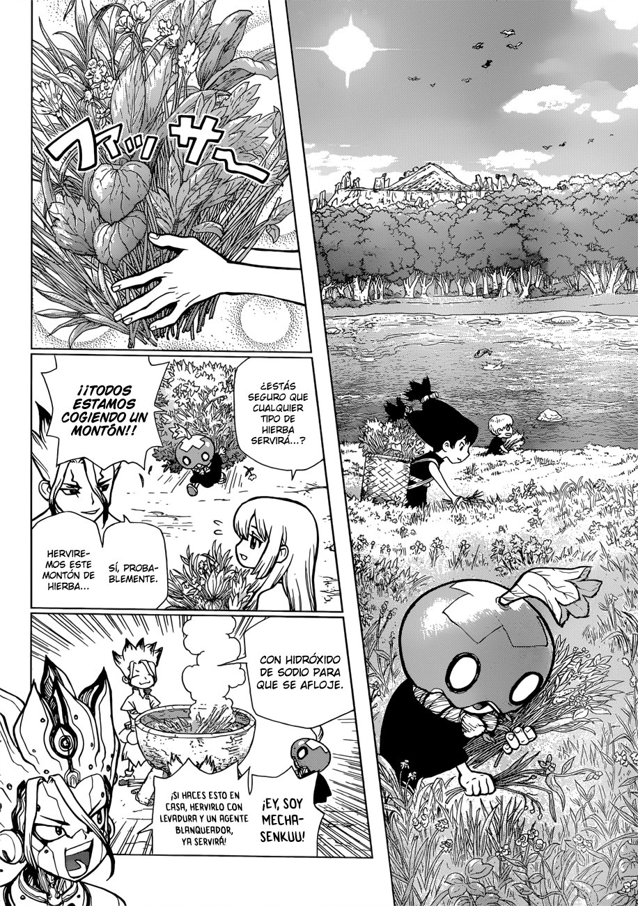 Read Dr Stone ES Manga Online