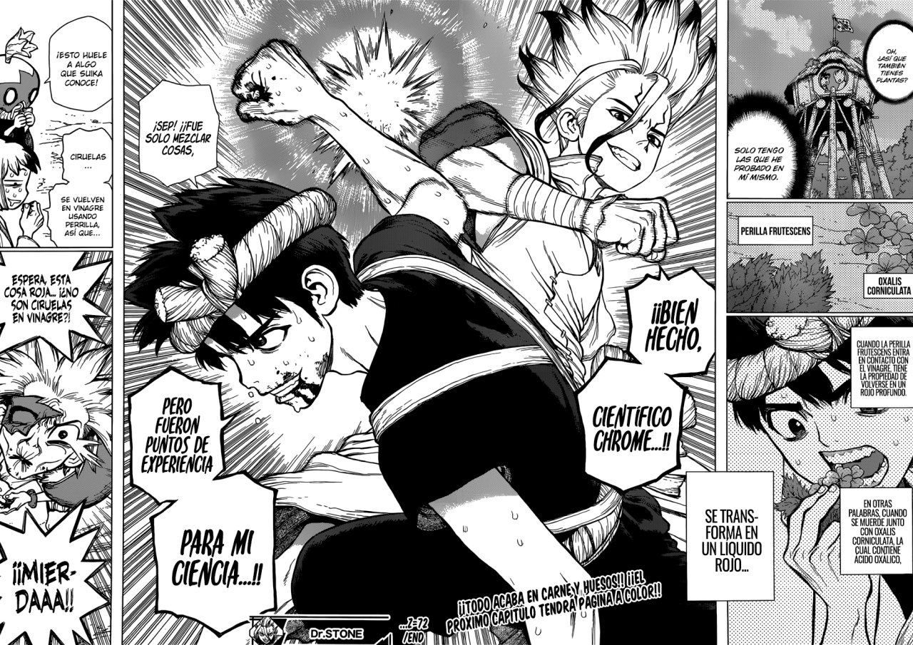 Read Dr Stone ES Manga Online