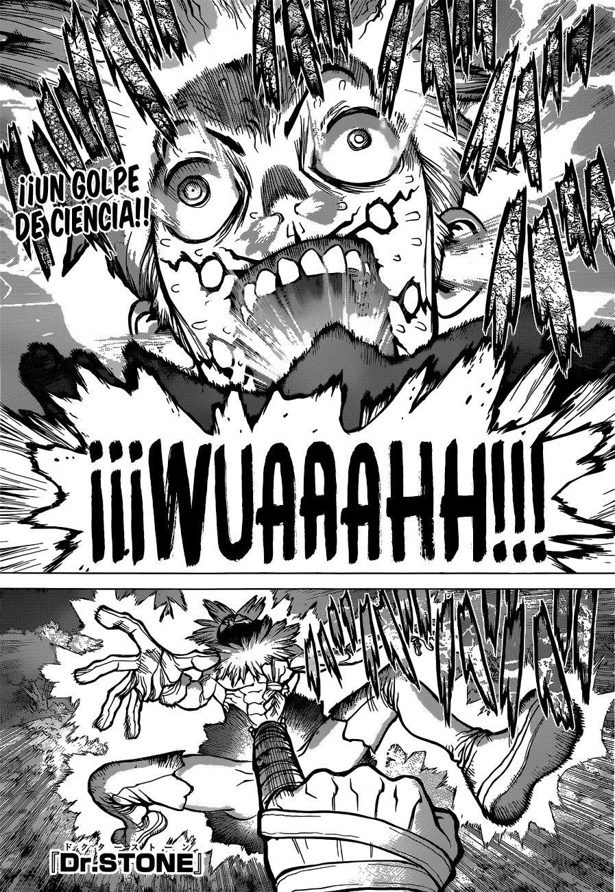 Read Dr Stone ES Manga Online