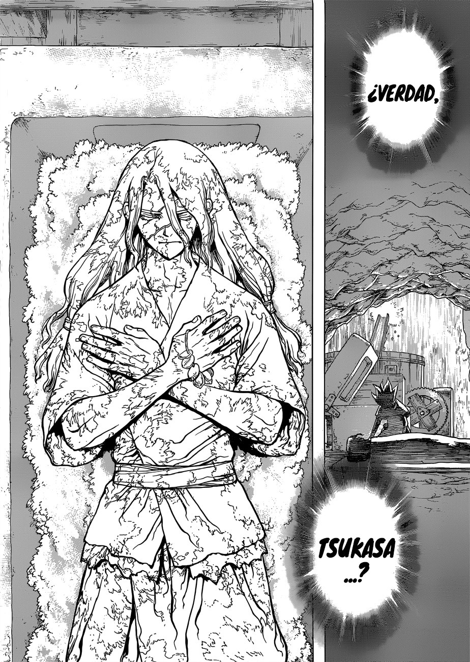 Read Dr Stone ES Manga Online
