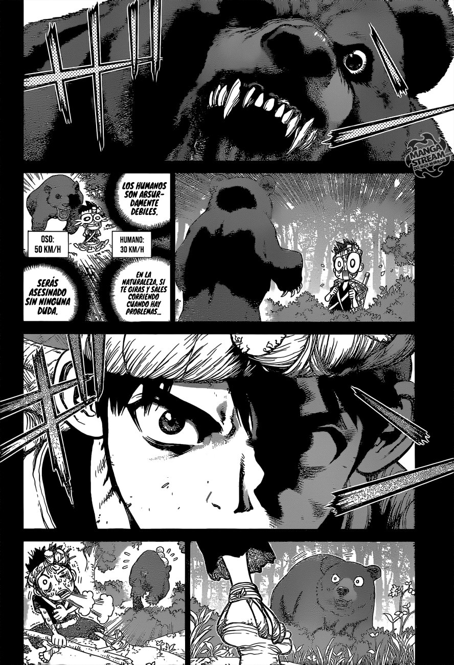 Read Dr Stone ES Manga Online