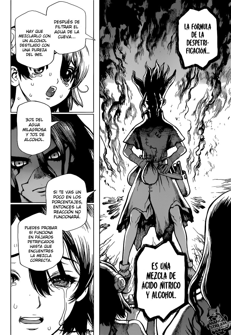 Read Dr Stone ES Manga Online