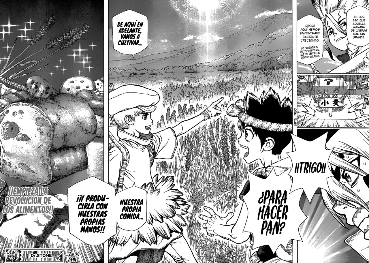 Read Dr Stone ES Manga Online