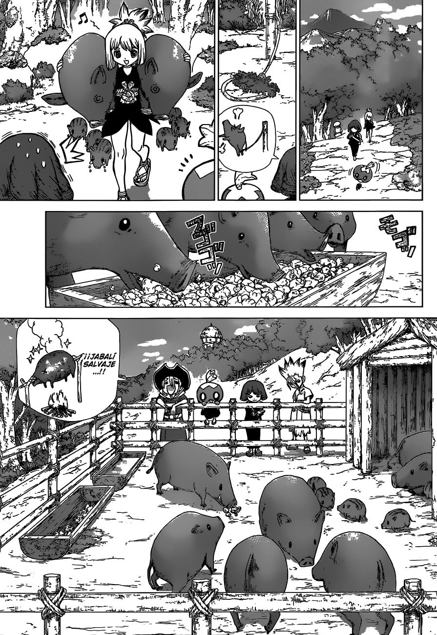 Read Dr Stone ES Manga Online