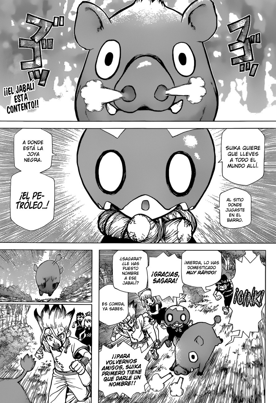 Read Dr Stone ES Manga Online