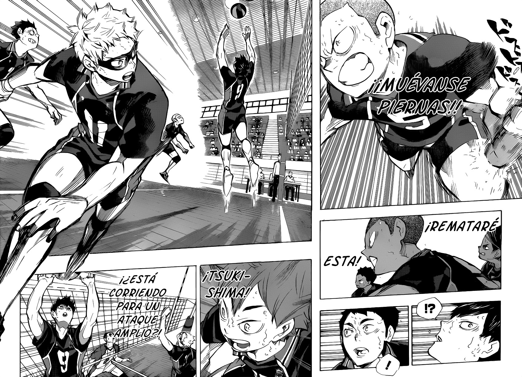 Read Haikyuu ES Manga Online