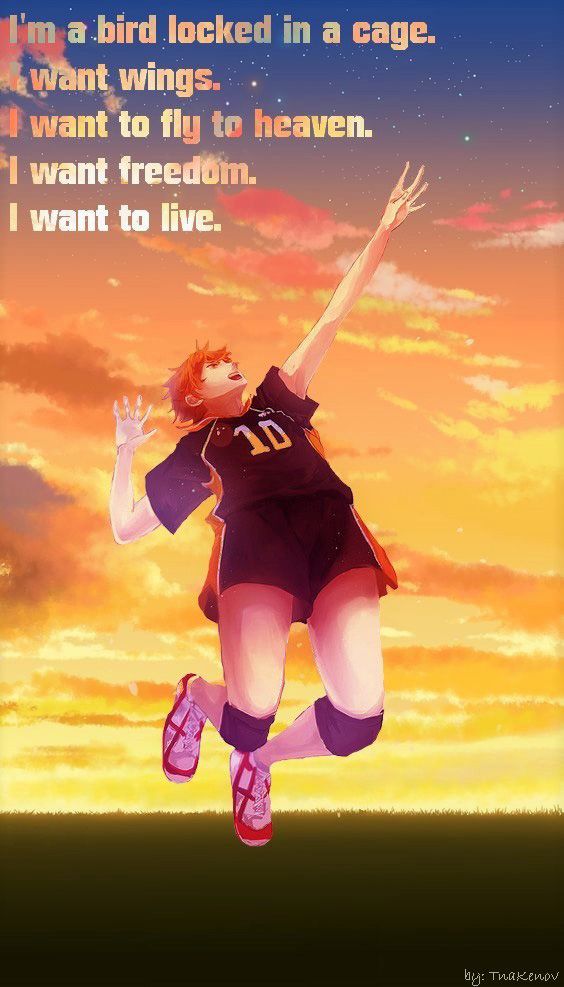 Read Haikyuu ES Manga Online