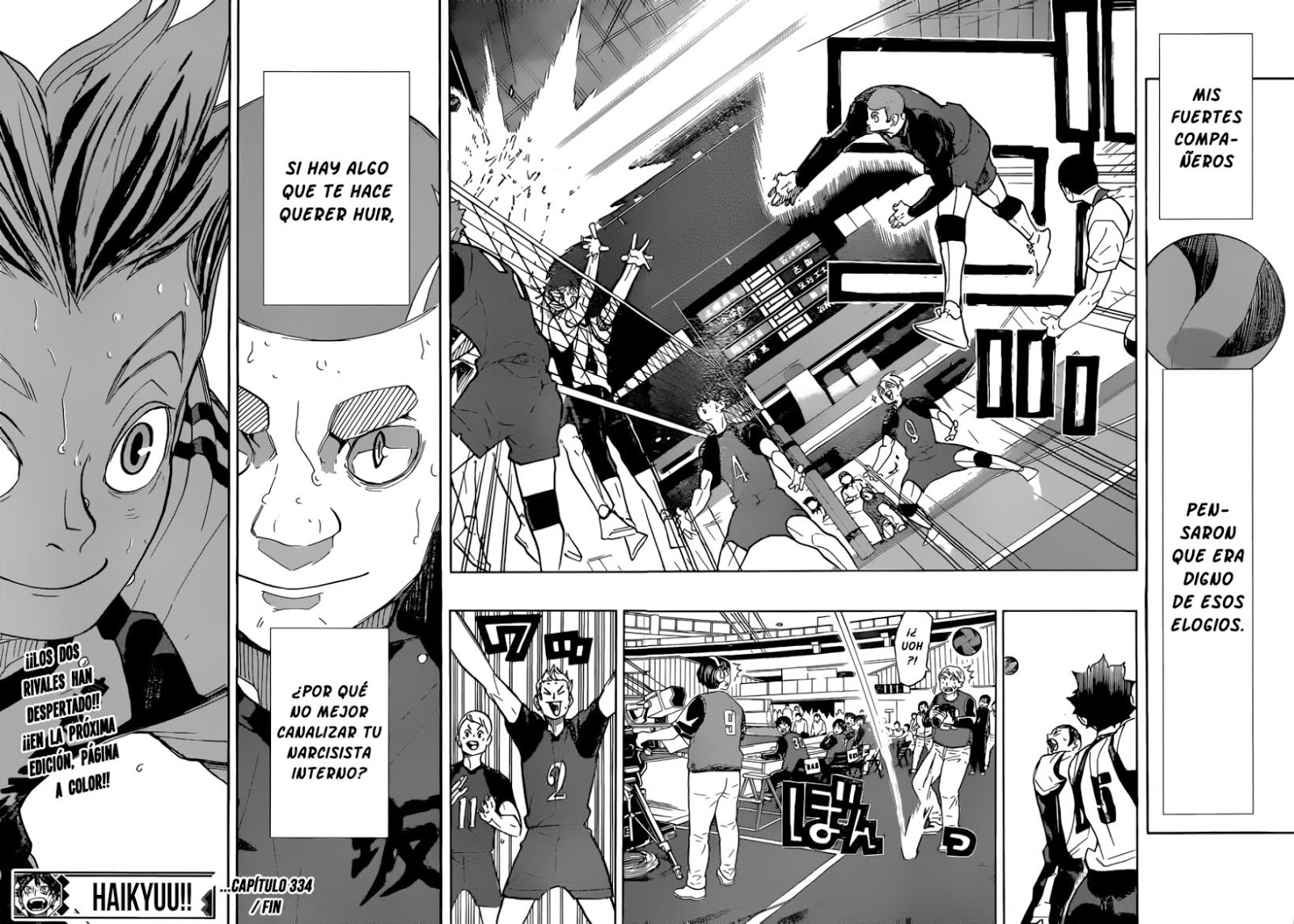 Read Haikyuu ES Manga Online