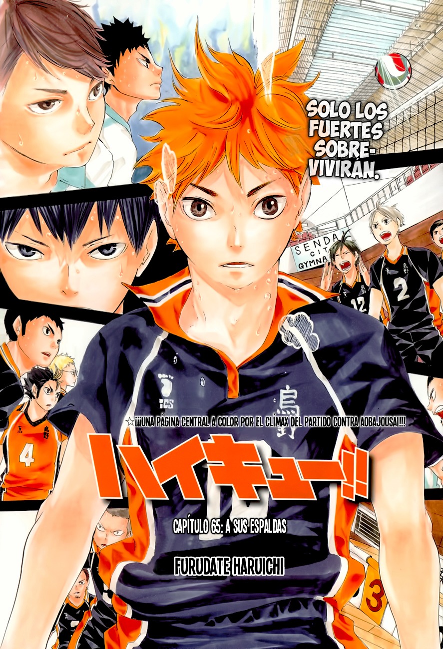 Read Haikyuu ES Manga Online