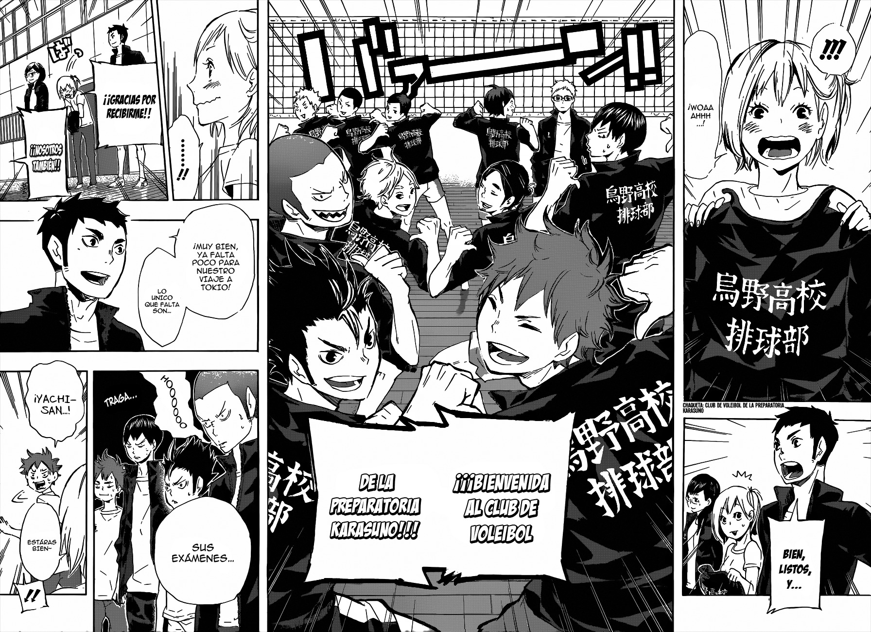 Read Haikyuu ES Manga Online