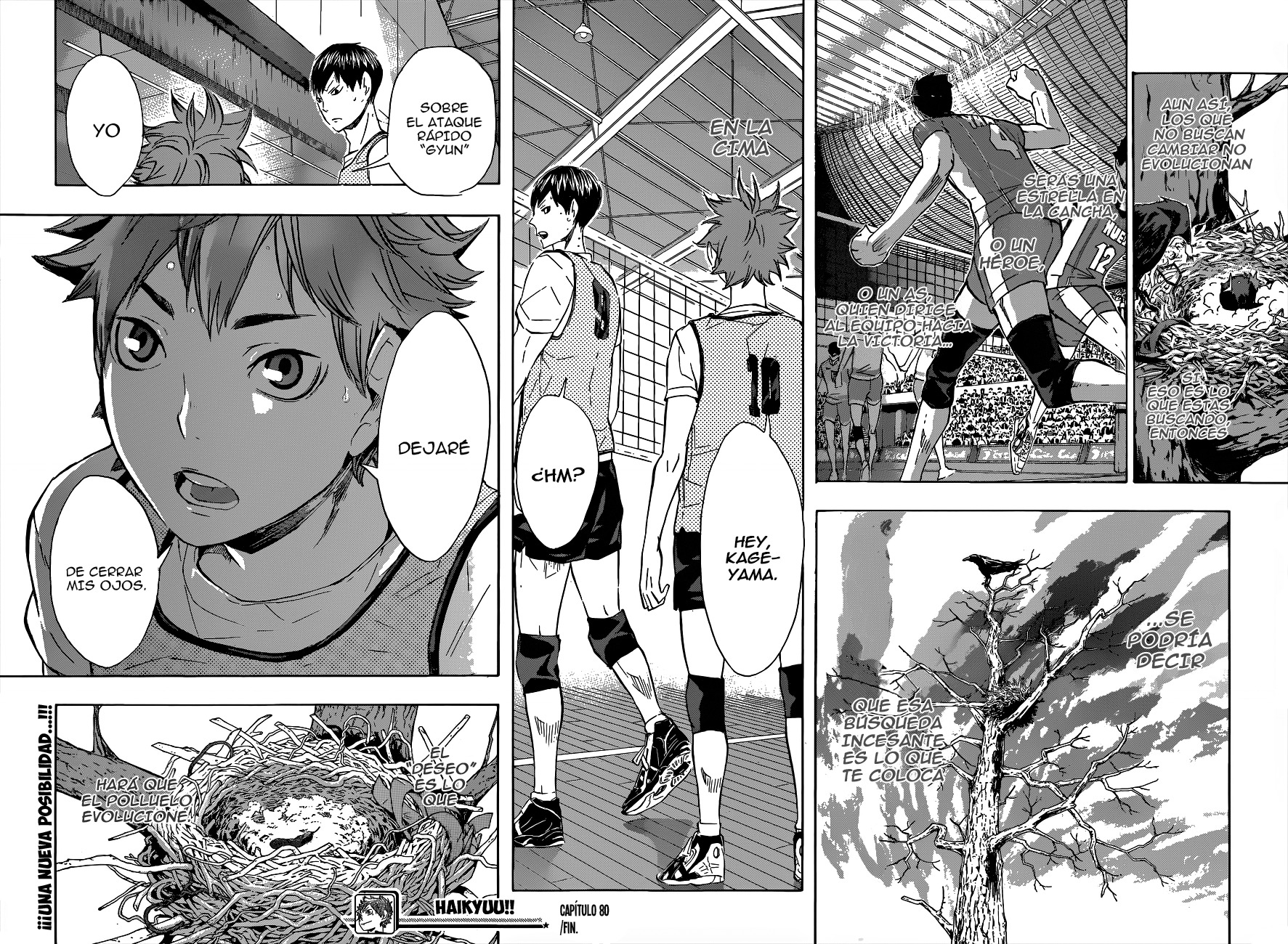 Read Haikyuu ES Manga Online