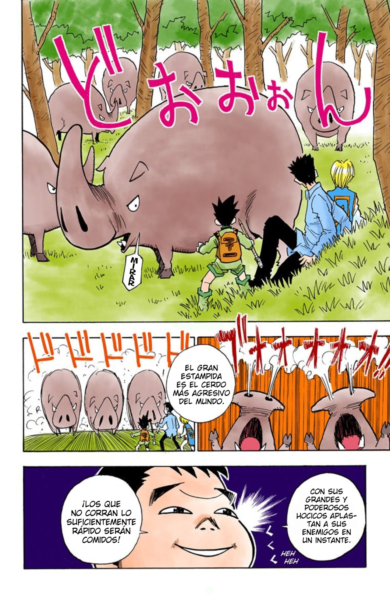 Read Hunter x Hunter Full Color ES Manga Online
