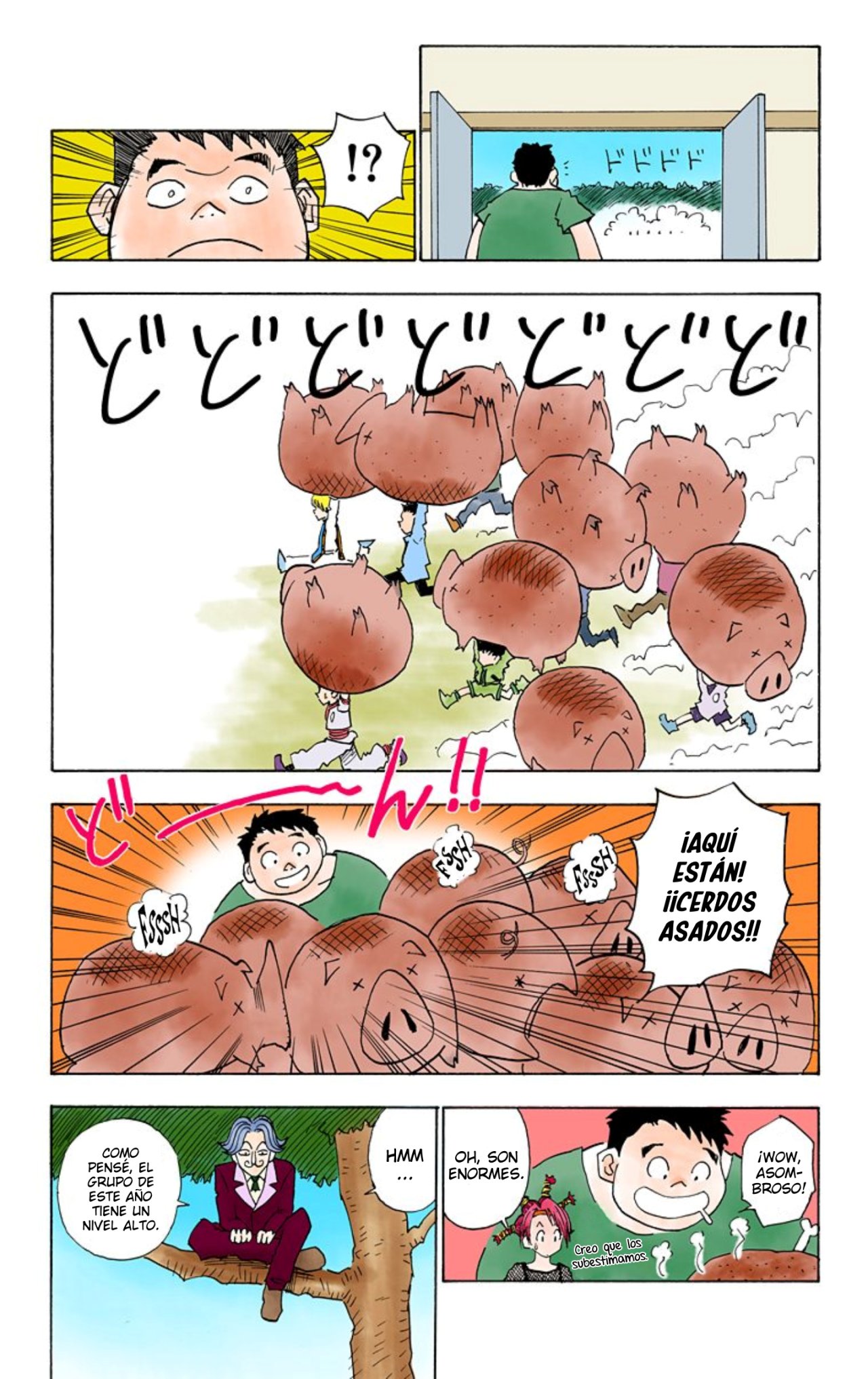 Read Hunter x Hunter Full Color ES Manga Online