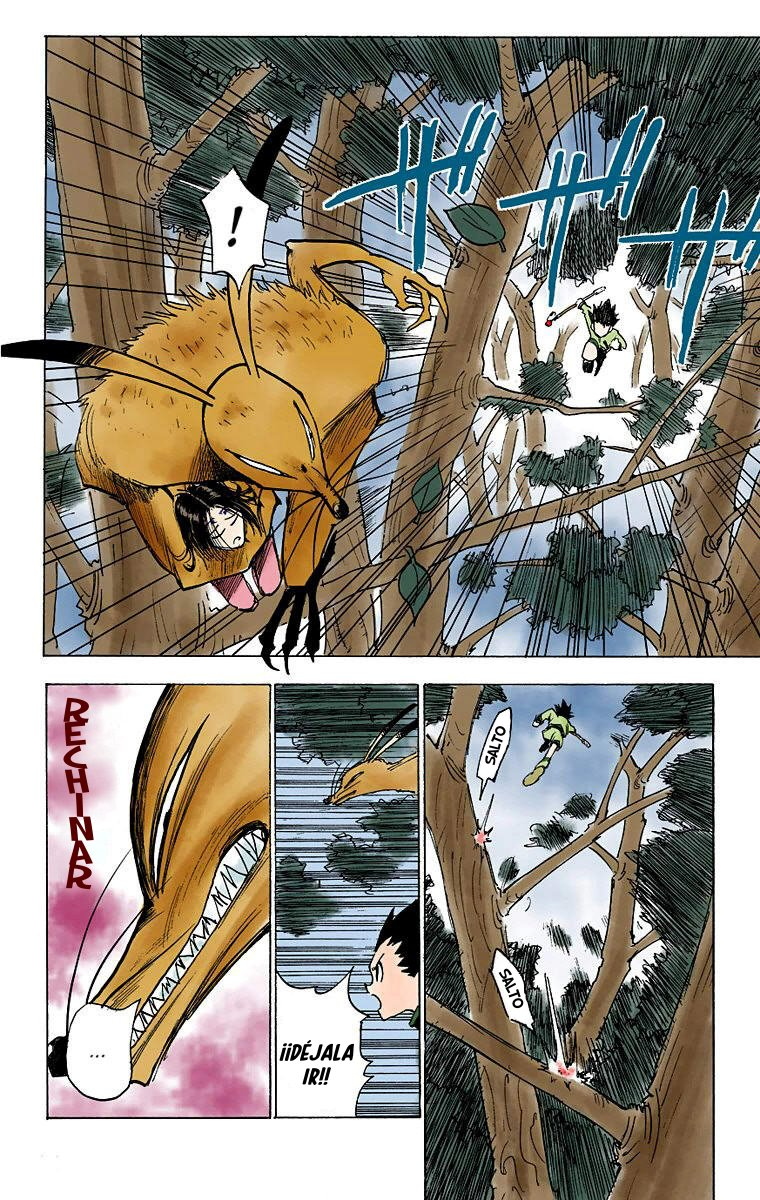 Read Hunter x Hunter Full Color ES Manga Online