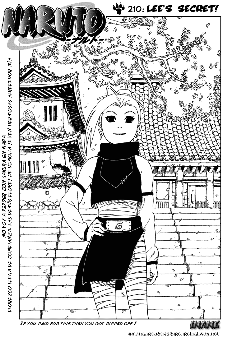 Read Naruto ES Manga Online