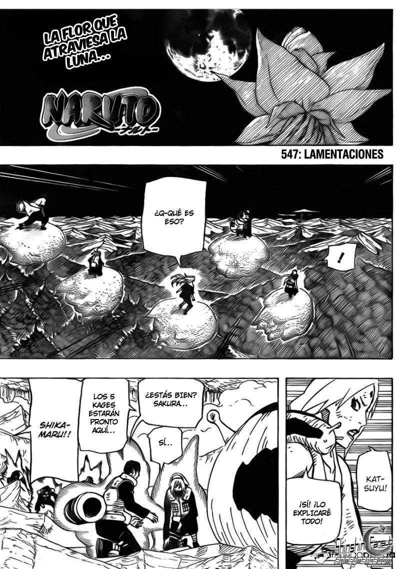 Read Naruto ES Manga Online