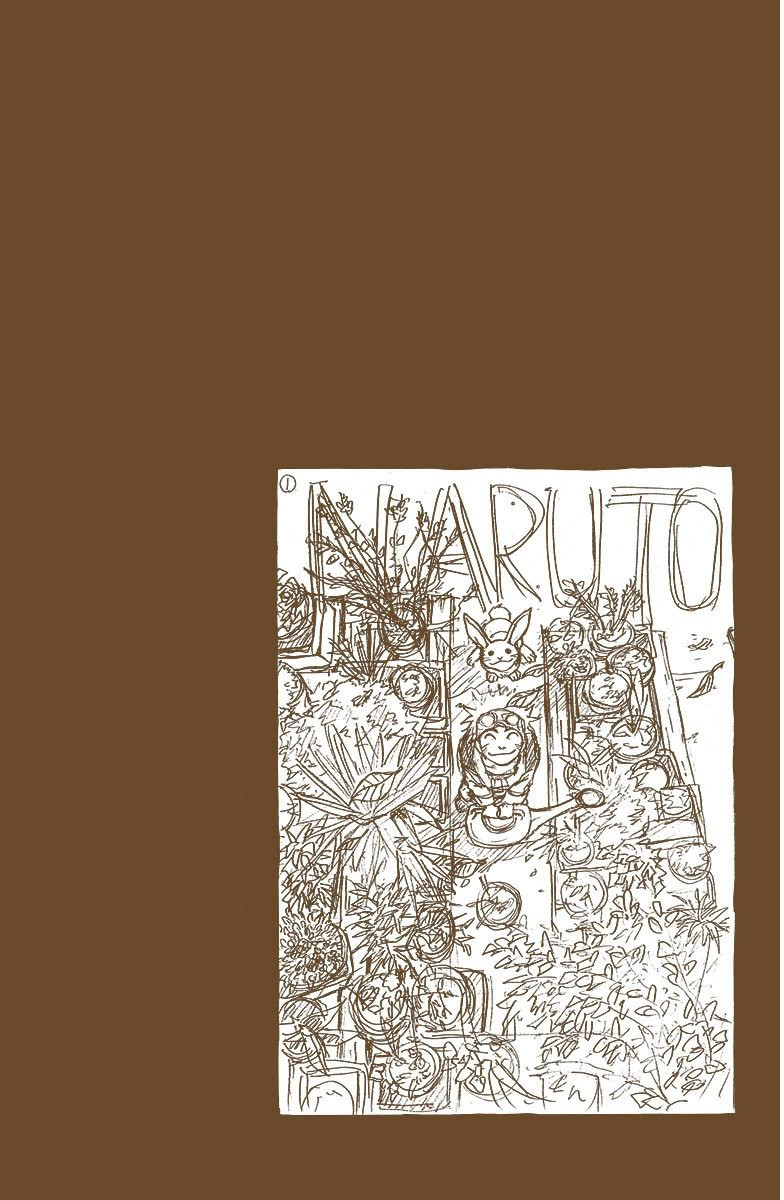 Read Naruto Full Color ES Manga Online