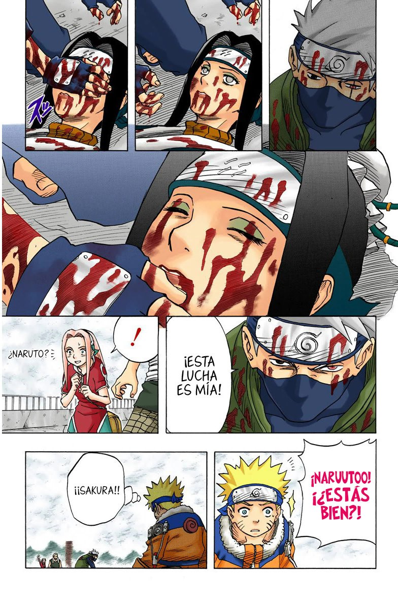 Read Naruto Full Color ES Manga Online
