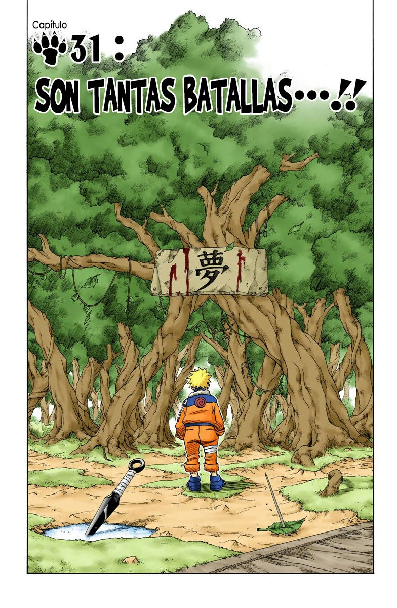 Read Naruto Full Color ES Manga Online