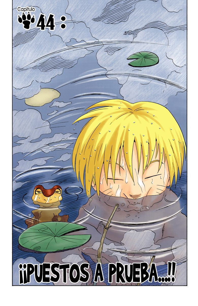 Read Naruto Full Color ES Manga Online
