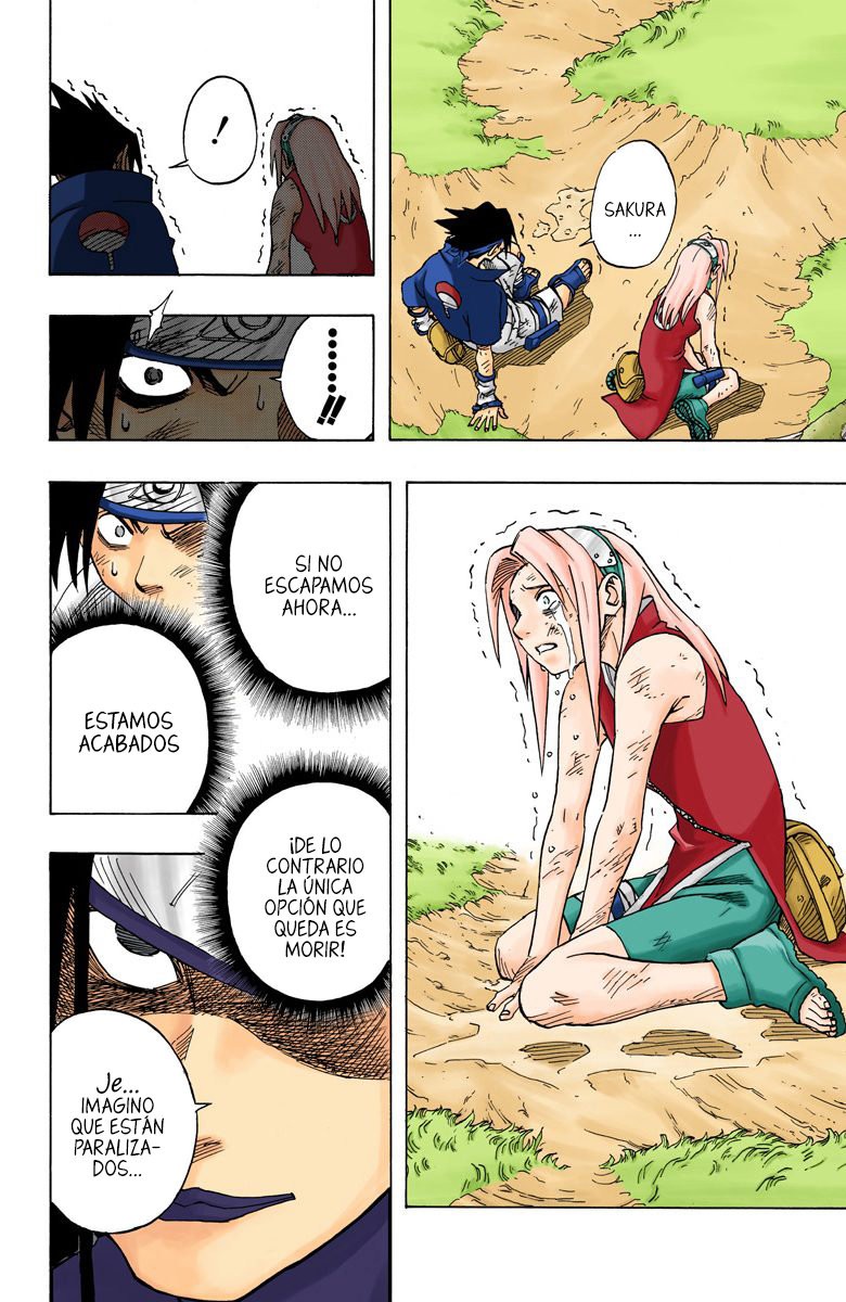 Read Naruto Full Color ES Manga Online