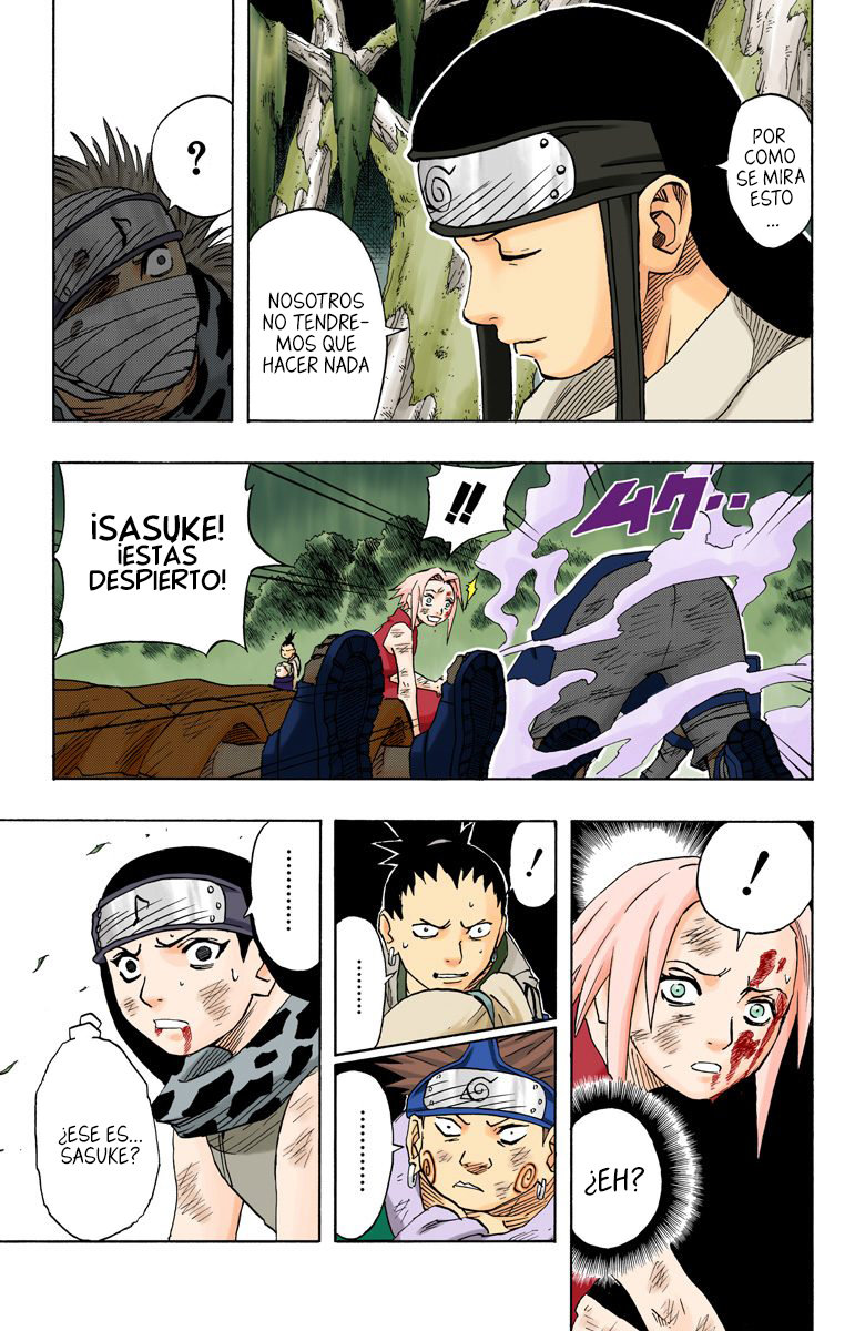 Read Naruto Full Color ES Manga Online
