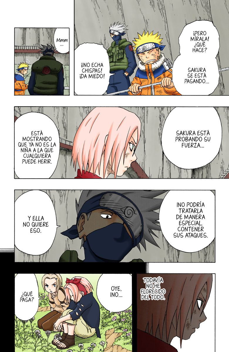 Read Naruto Full Color ES Manga Online