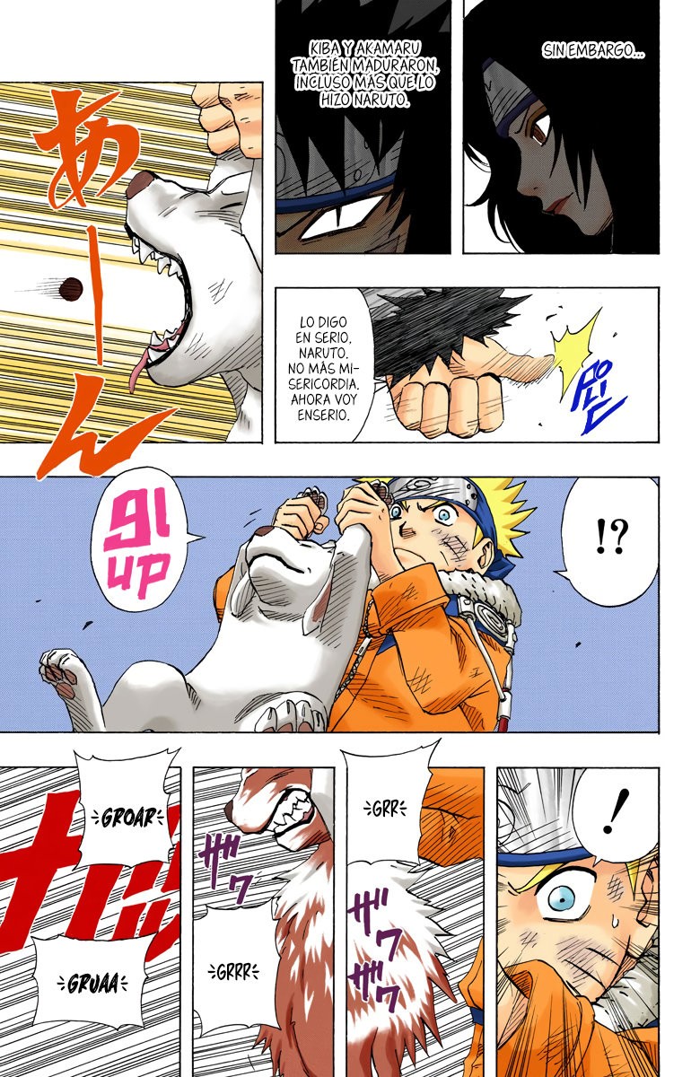 Read Naruto Full Color ES Manga Online