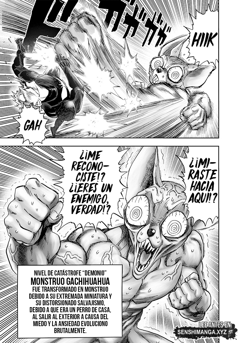 Read One Punch Man ES Manga Online