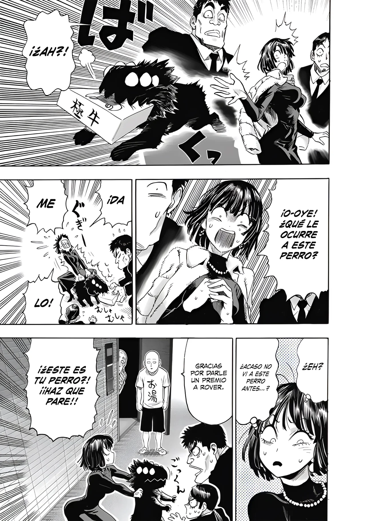 Read One Punch Man ES Manga Online