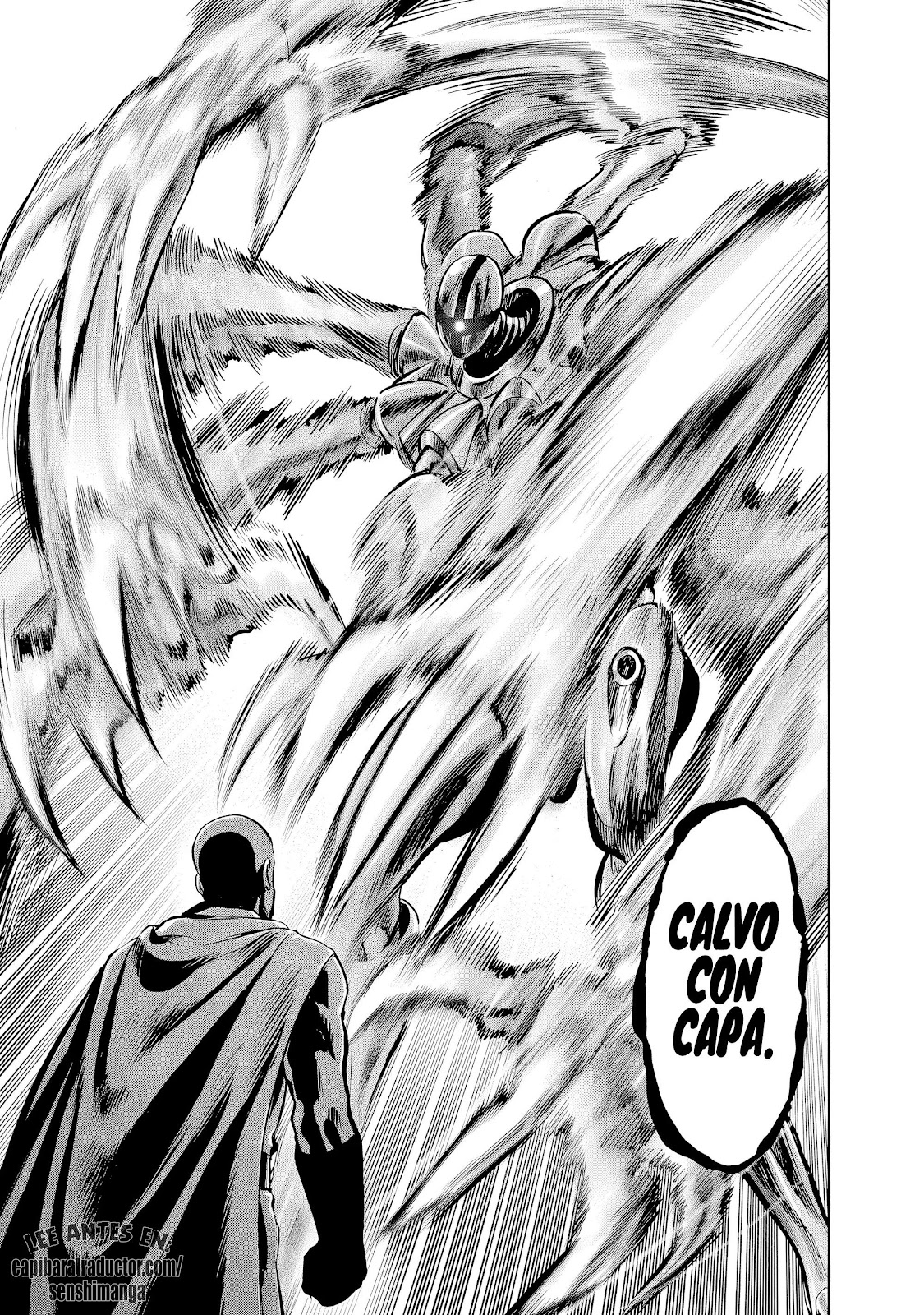 Read One Punch Man ES Manga Online
