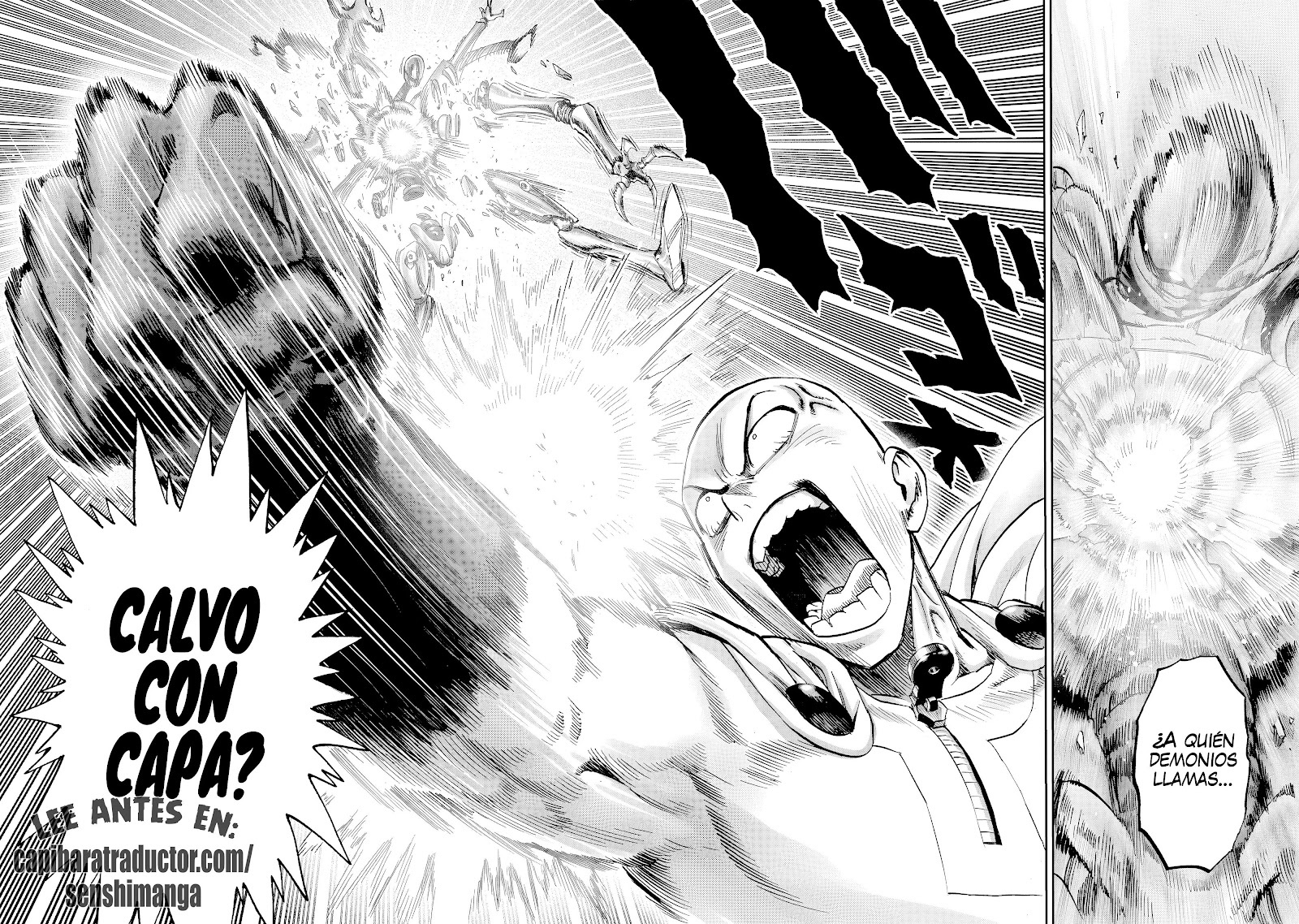 Read One Punch Man ES Manga Online