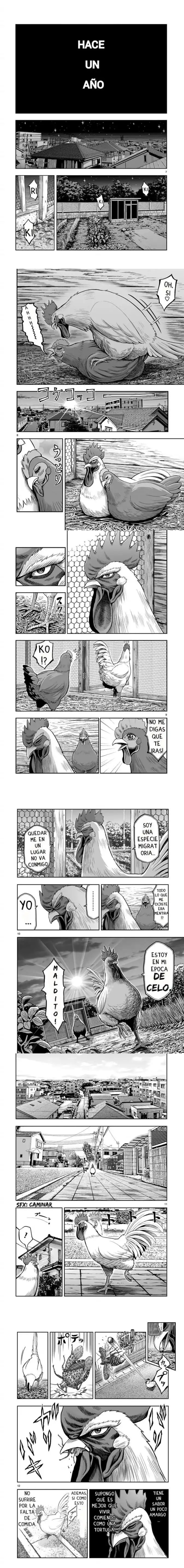 Read Rooster Fighter ES Manga Online