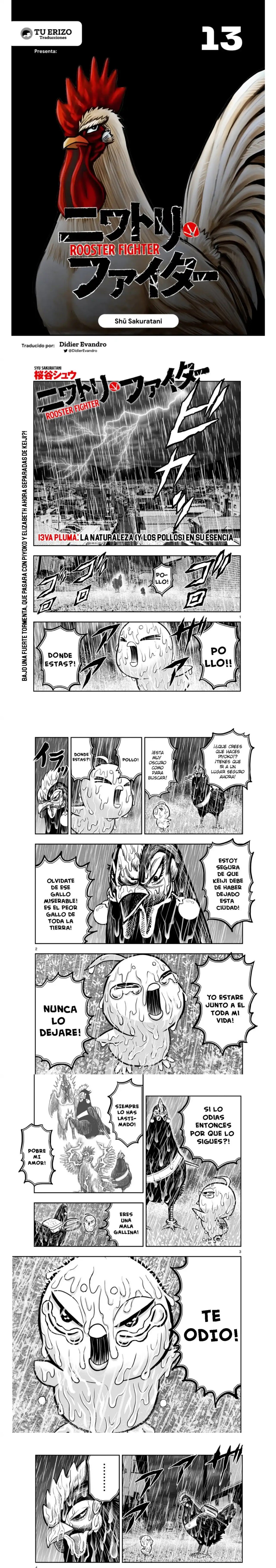 Read Rooster Fighter ES Manga Online