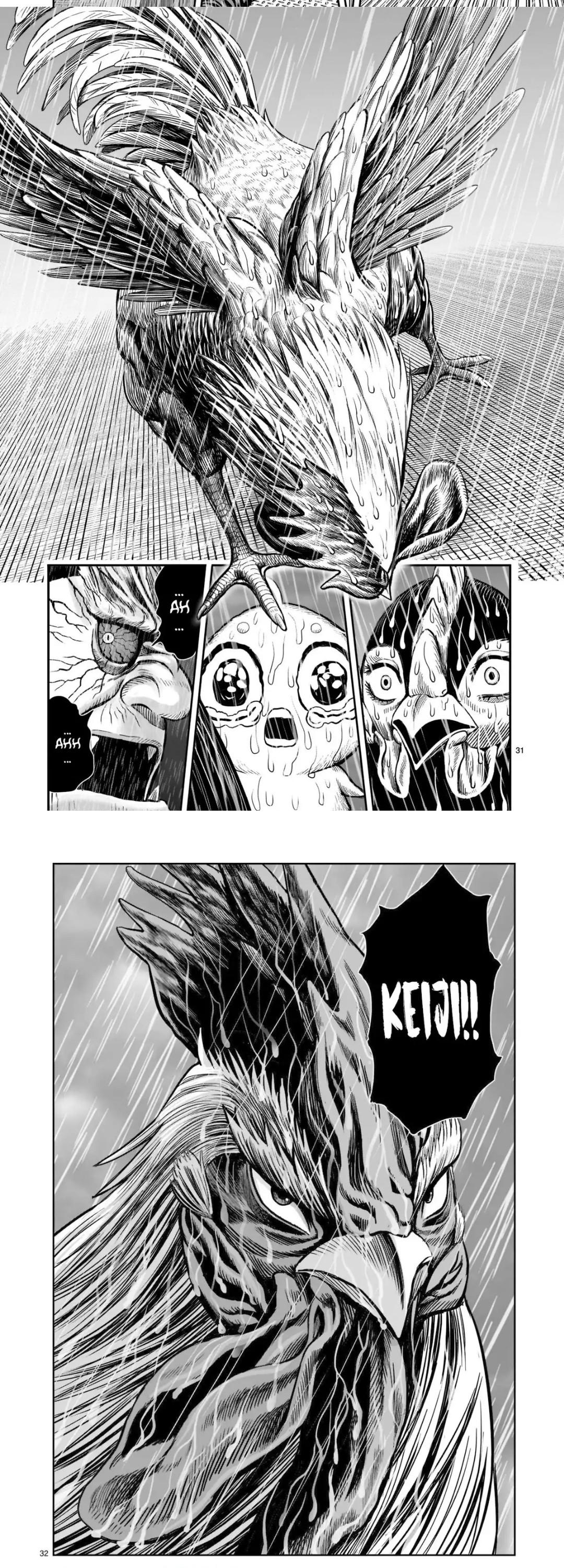 Read Rooster Fighter ES Manga Online