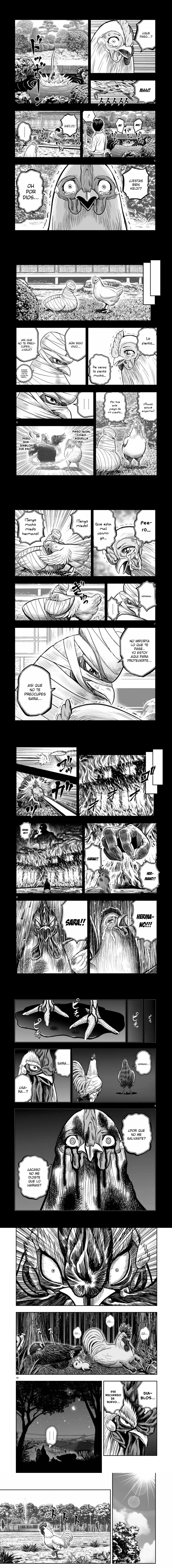 Read Rooster Fighter ES Manga Online