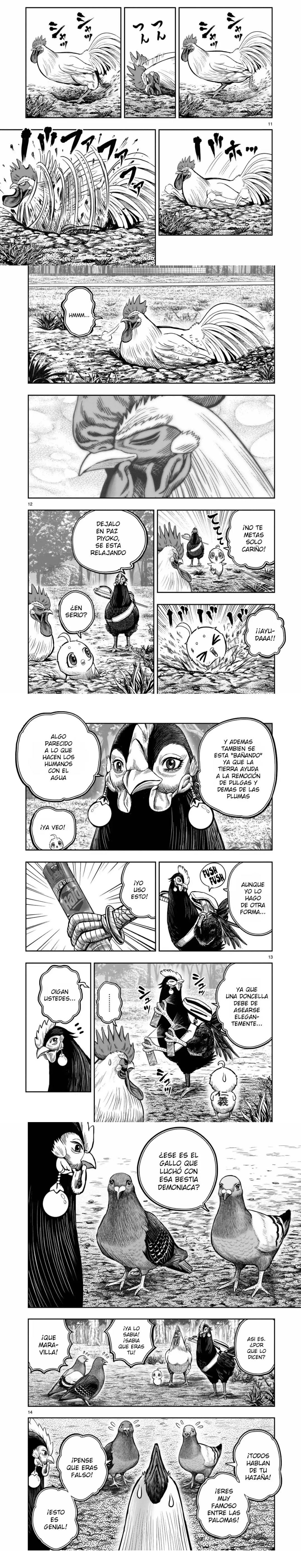 Read Rooster Fighter ES Manga Online