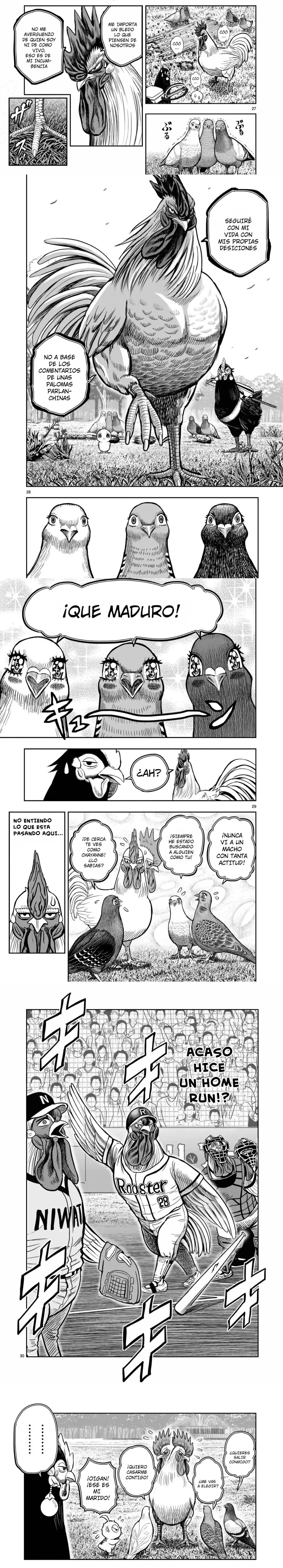Read Rooster Fighter ES Manga Online