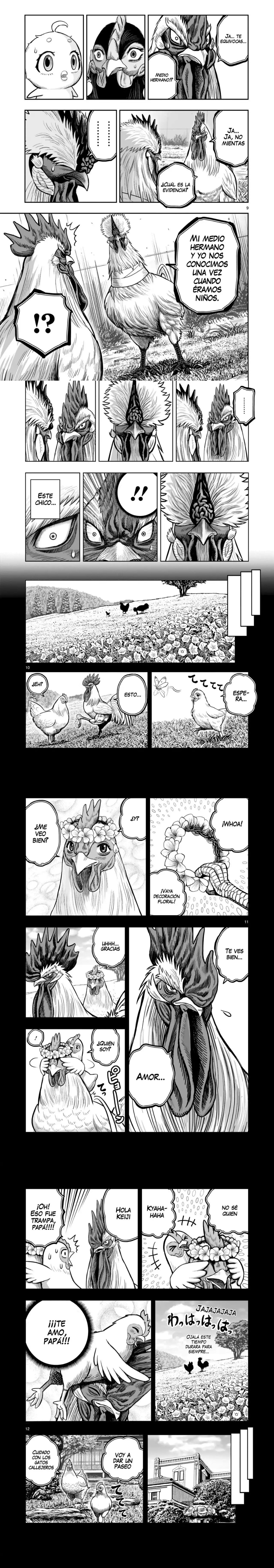 Read Rooster Fighter ES Manga Online
