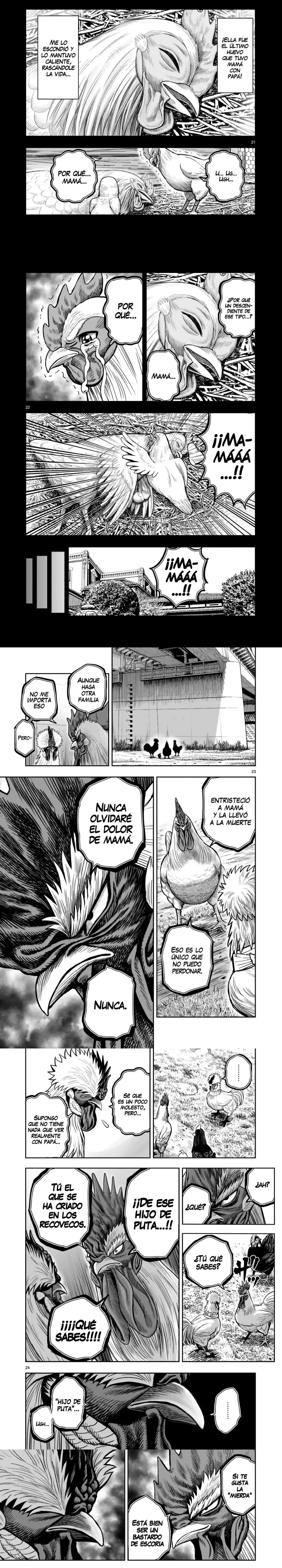 Read Rooster Fighter ES Manga Online