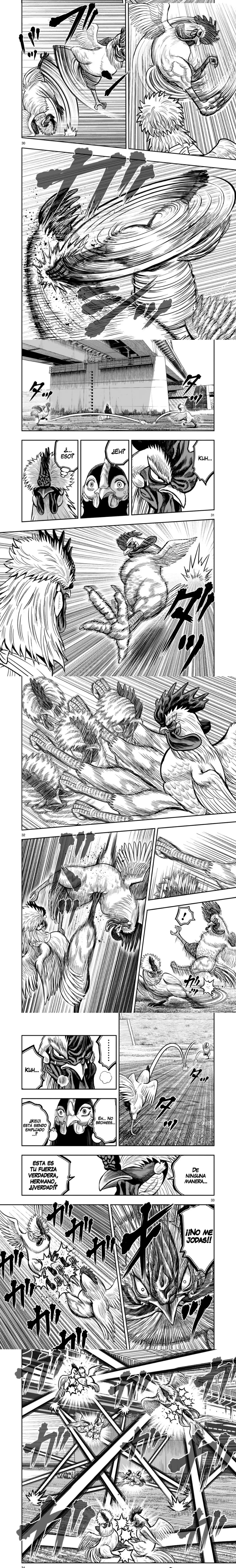 Read Rooster Fighter ES Manga Online