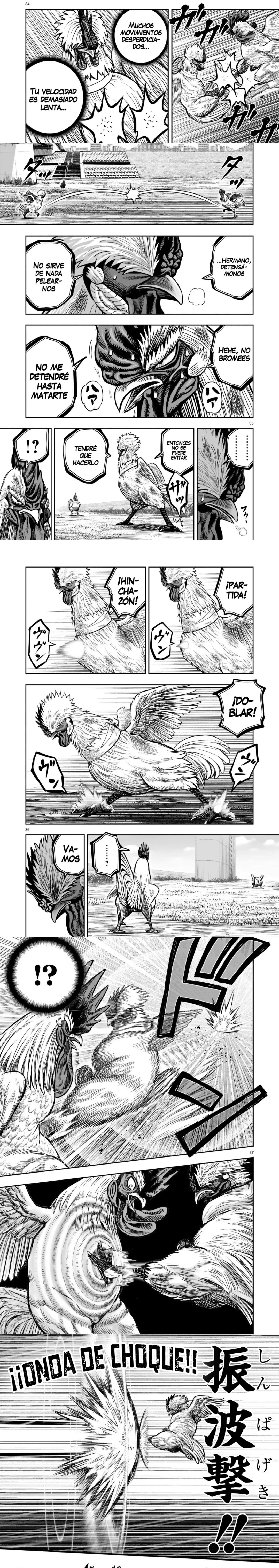 Read Rooster Fighter ES Manga Online