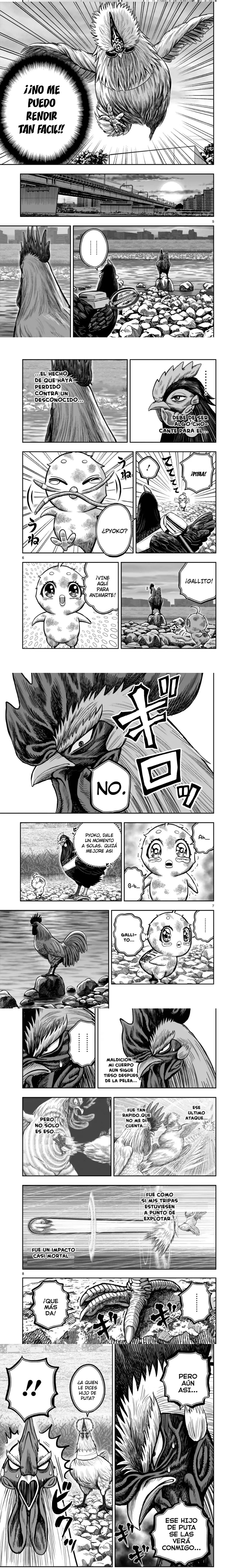 Read Rooster Fighter ES Manga Online