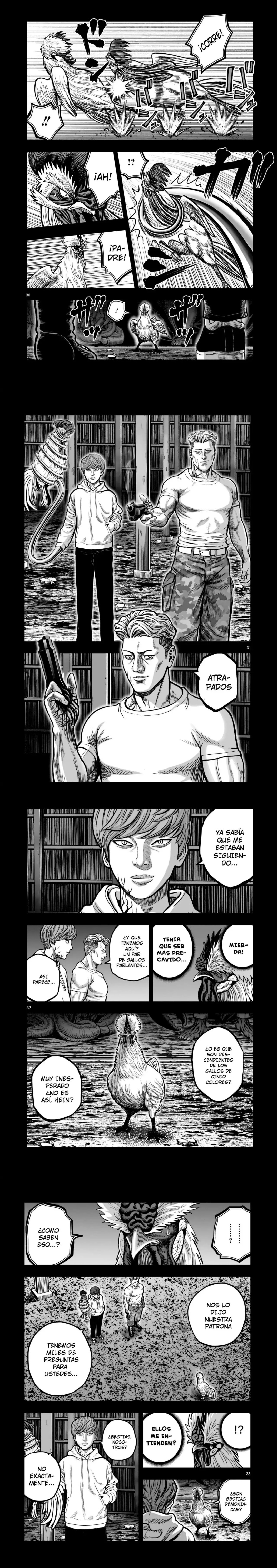 Read Rooster Fighter ES Manga Online