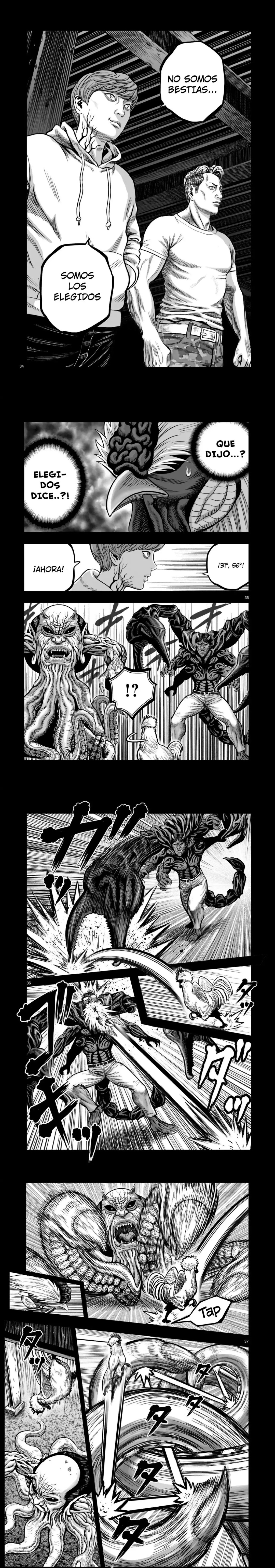 Read Rooster Fighter ES Manga Online