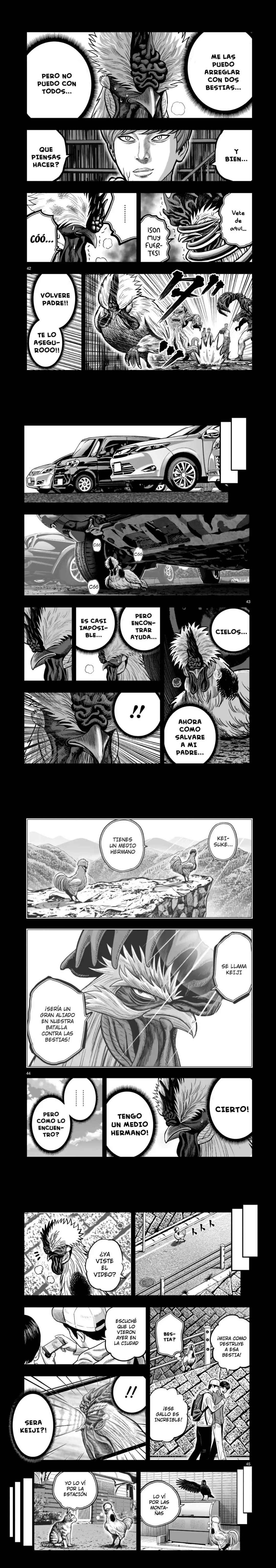 Read Rooster Fighter ES Manga Online