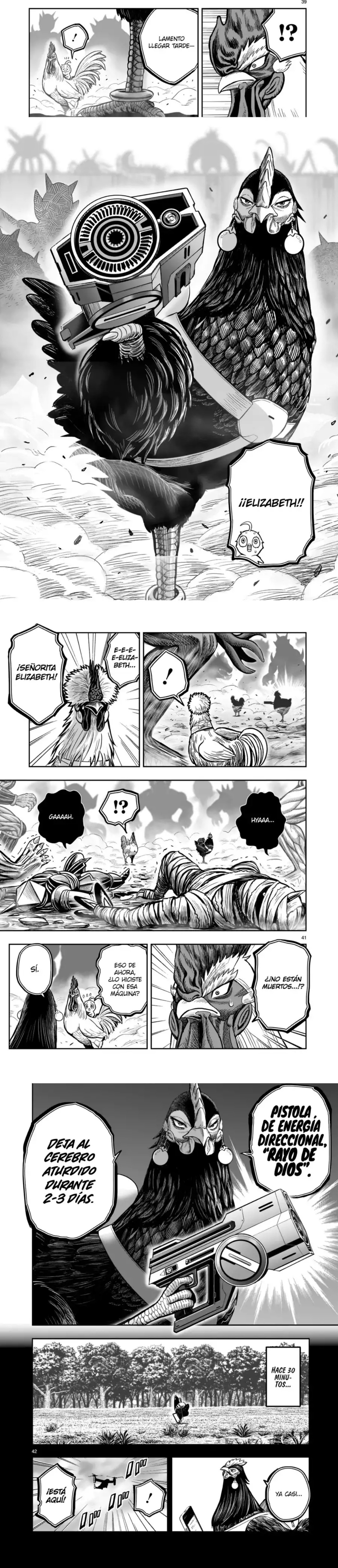 Read Rooster Fighter ES Manga Online