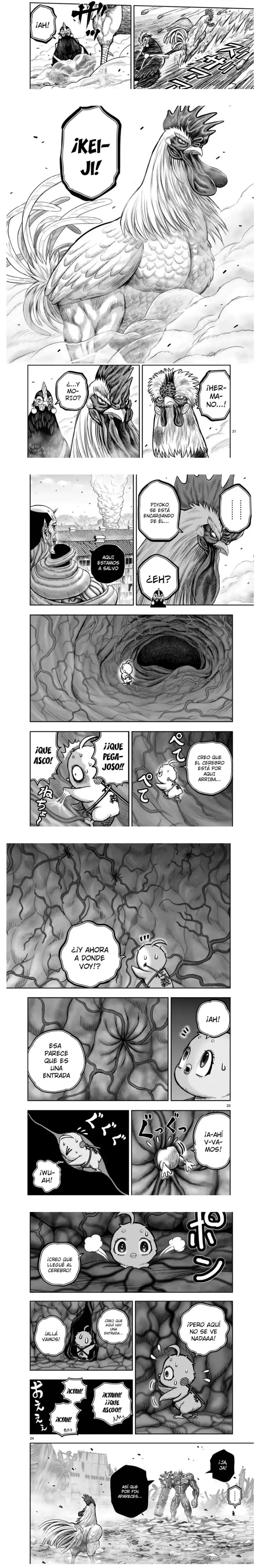 Read Rooster Fighter ES Manga Online